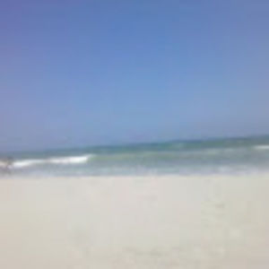 Meet your Posher, Sam